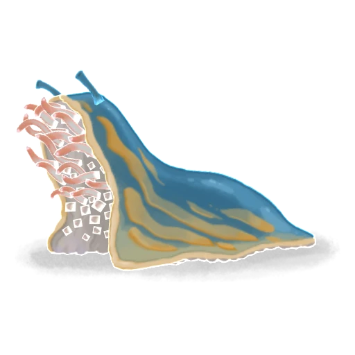 Lumaca cadaverica