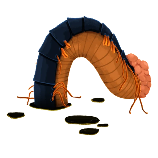 Diecimilapiedi