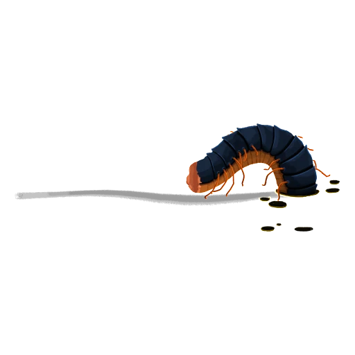 Diecimilapiedi