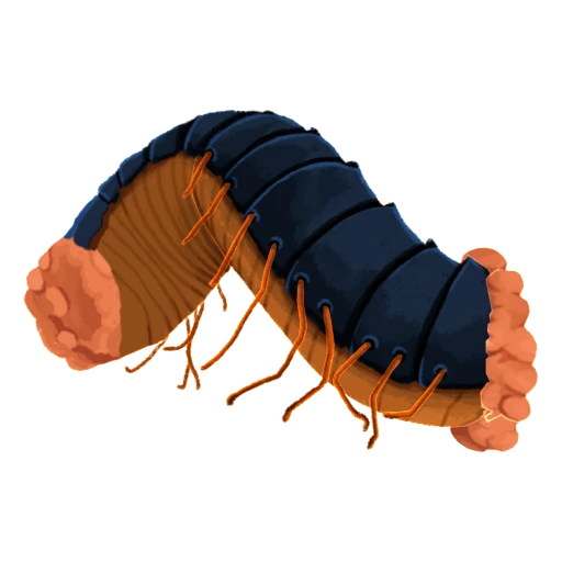 Diecimilapiedi