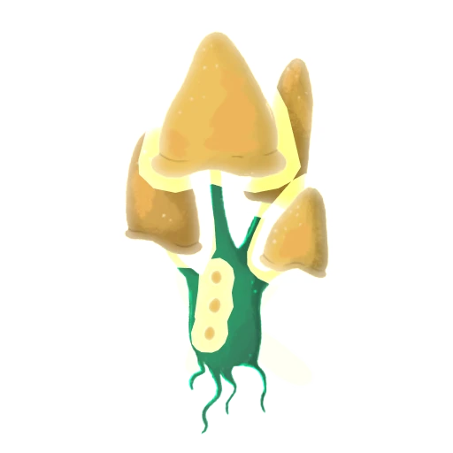 Fungalato