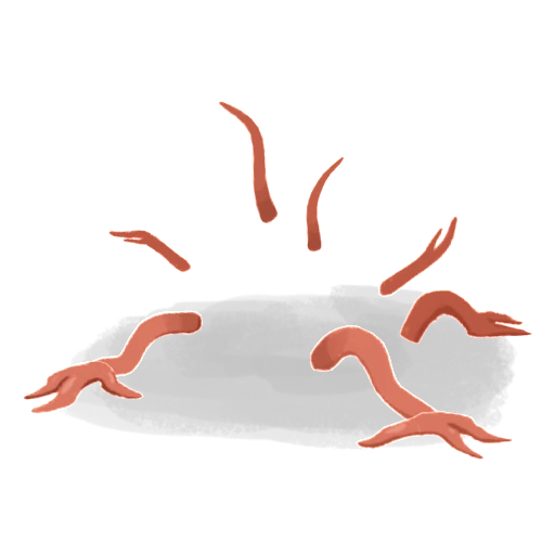 Cacciatore di fossili