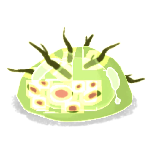 Ramomelma (piccola)