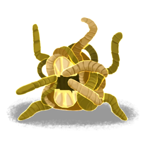 Larva