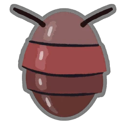 Pellaccia