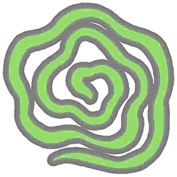 Illusione