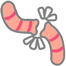 Ricomposizione