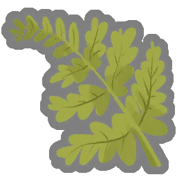 Fougère délicate