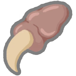 Griffe de Paël