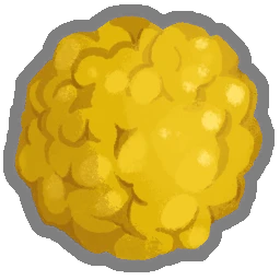 Noyau pollinique